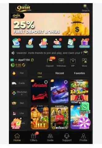 9Win Interface screenshot 