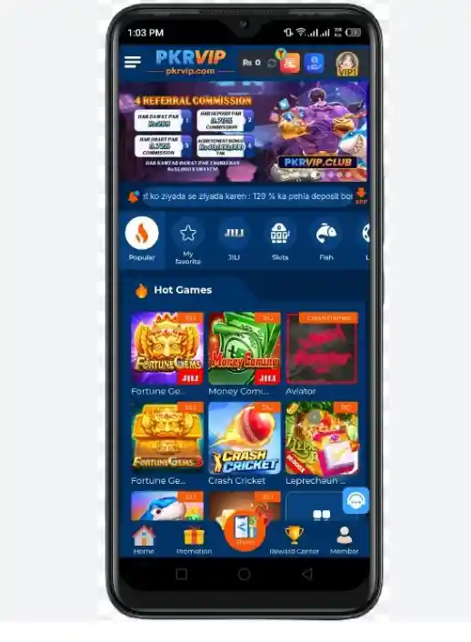 Pkrvip interface