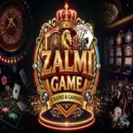 Zalmi game
