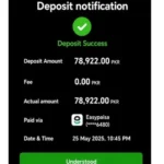 33Pak game deposit method guide for safe account funding