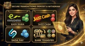 Falcon66 deposit and withdraw Interface